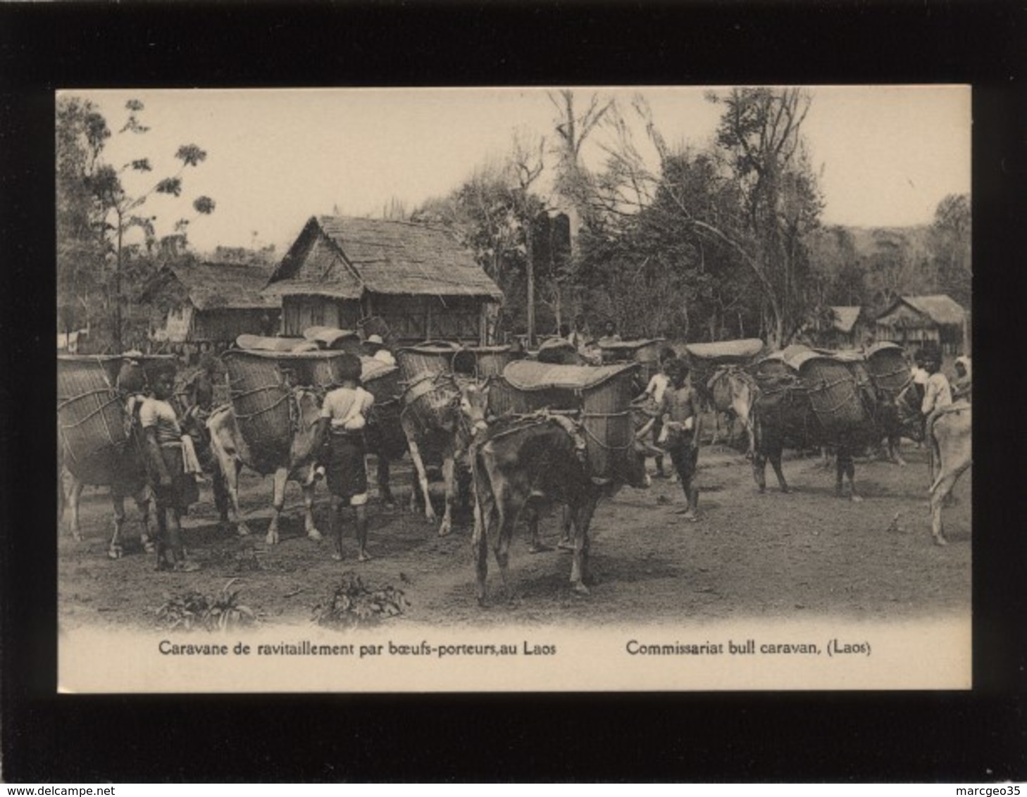 Laos Caravane De Ravitaillement Par Boeufs-porteurs édit. Missions étrangères - Laos