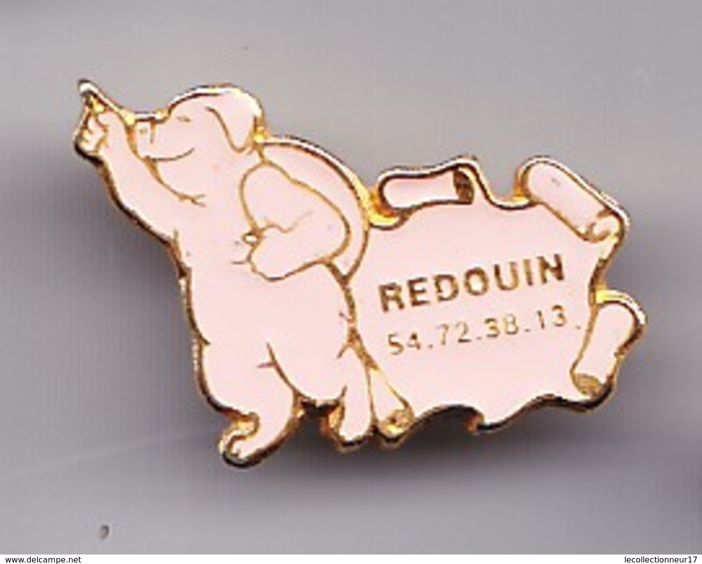 Pin's Cochon  Redouin Réf 4549 - Animaux
