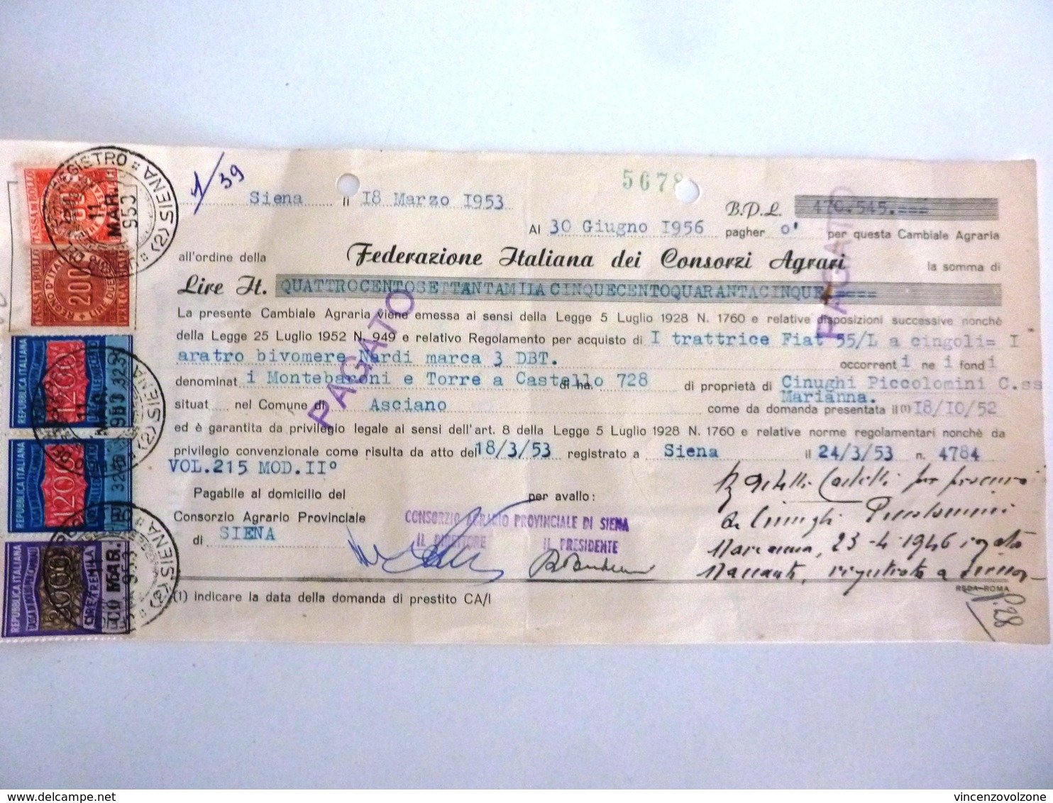 Cambiale "FEDERAZIONE ITALIANA CONSORZI AGRARI Siena 18 Marzo 1953"  Con Marche Da Bollo - Bills Of Exchange