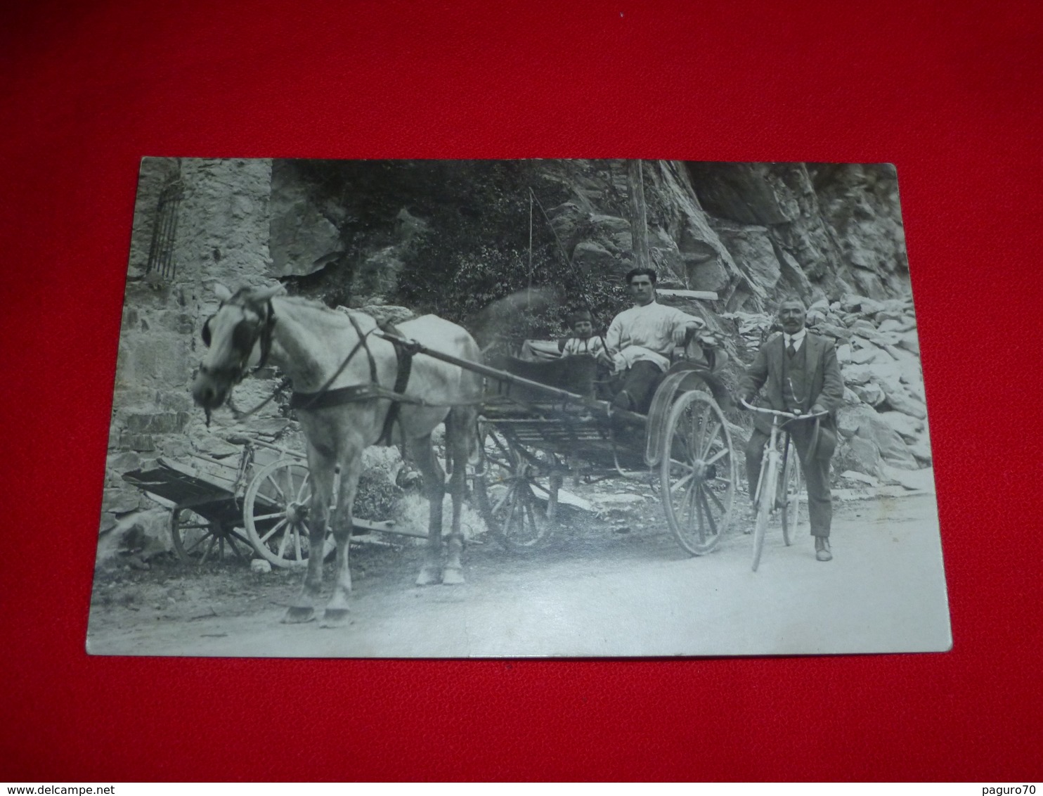 Cartolina Fotografica Mercanti Su Traino A Cavallo Con Bici D'Epoca - Mestieri