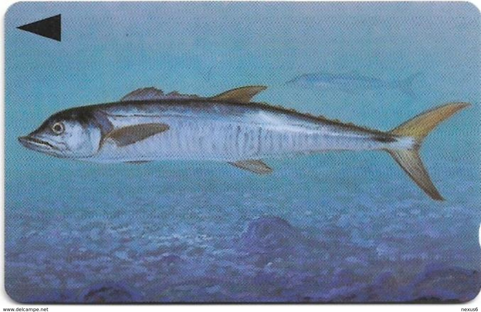 Bahrain - Fish Of Bahrain - Spanish Mackerel - 39BAHR - 1996, 200.000ex, Used - Bahrain