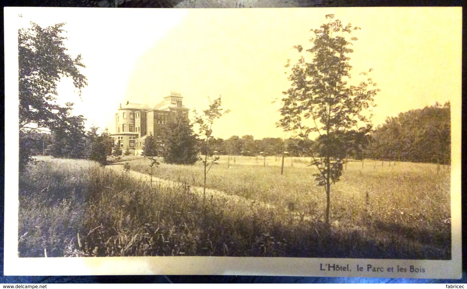 Hotton - L'Hôtel, Le Parc Et Les Bois - Hotel Du Vieux Pré Melreux-Hotton - Hotton