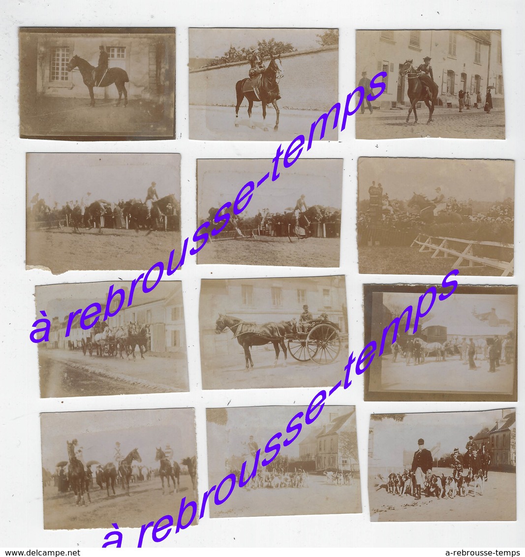 Vers 1880--thème Le Cheval-12photos Albuminées :cheval à La Chasse, En Course Ou Dans La Vie Quotidienne-5,7 X 4,3cm - Anciennes (Av. 1900)