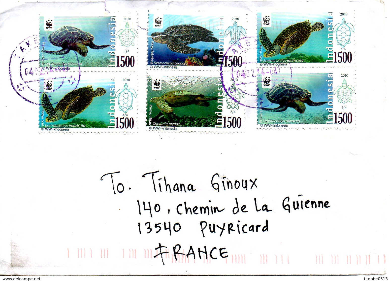 INDONESIE. Timbres De 2010 Sur Enveloppe Ayant Circulé. WWF Tortue. - Tortues