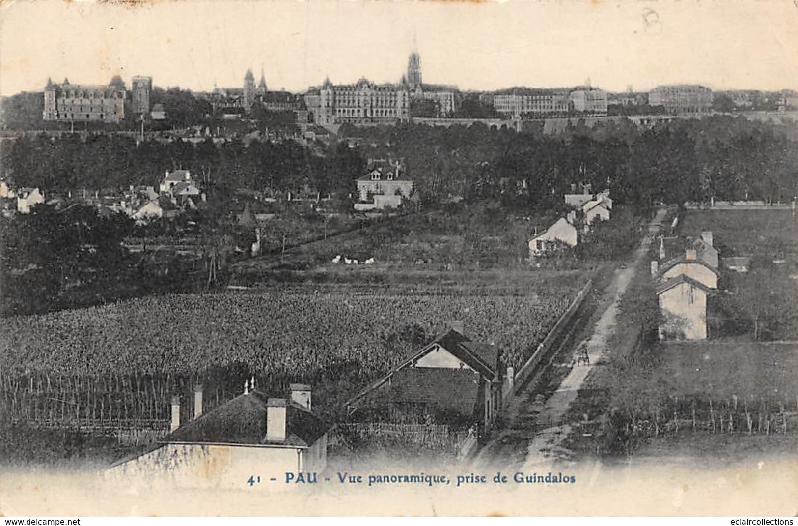 Pau       64        Vue Panoramique Prise Du Guindalos 2      (voir Scan) - Pau