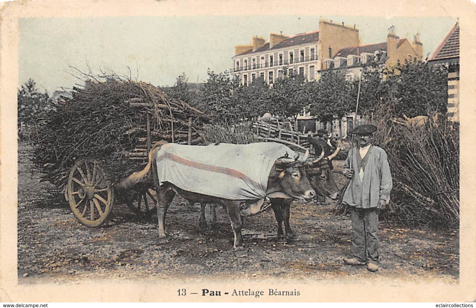 Pau       64         Attelage Béarnais  Chargé De Bois .3     (voir Scan) - Pau