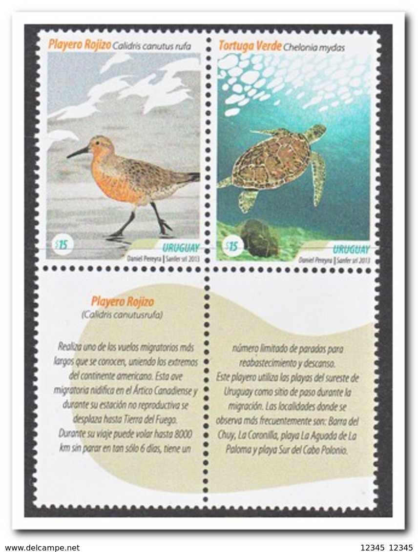 Uruguay 2013, Postfris MNH, Turtles, Birds - Uruguay