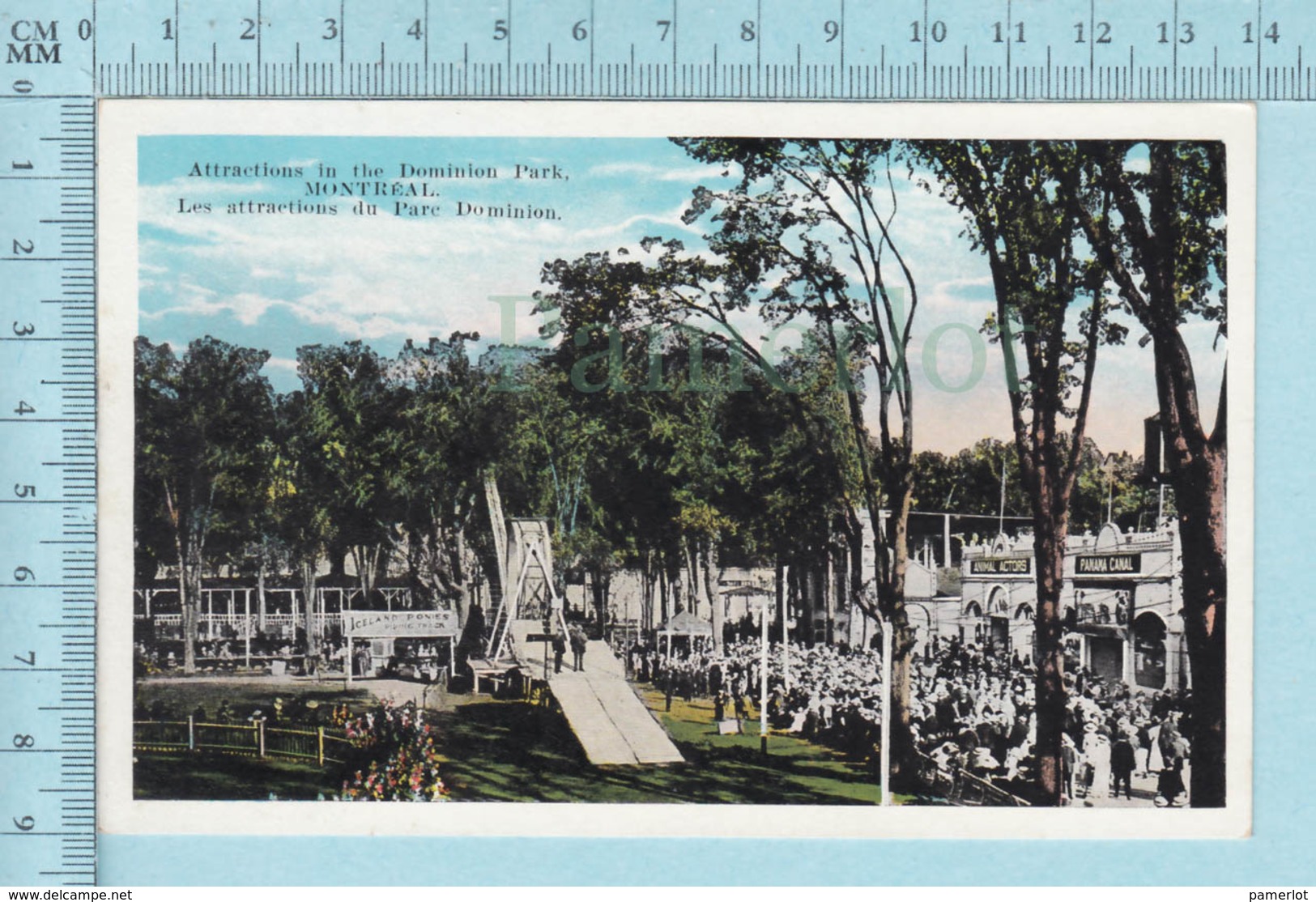 Montreal Quebec - CPA, Animé , Attractions Du Parc Dominion, Iceland Ponies, Panama Canal, Postcard Carte Postale - Montreal