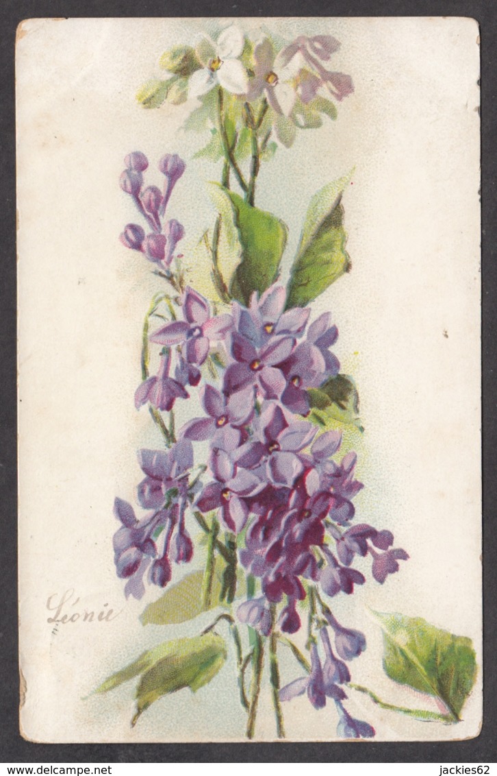 93397/ FLEURS, Illustration, Lilas, 1904 - Bloemen