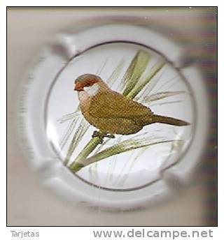 PLACA DE CAVA CAL LLUSIA DE UN PAJARO-BIRD  (CAPSULE) PICO DE CORAL SENEGALES - Placas De Cava