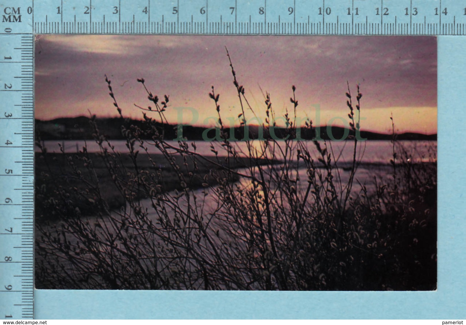 Chibougamau Quebec -Levée De Soleil Sur Le Lac - A Voyagé En 1986  - Postcard Carte Postale - Autres & Non Classés