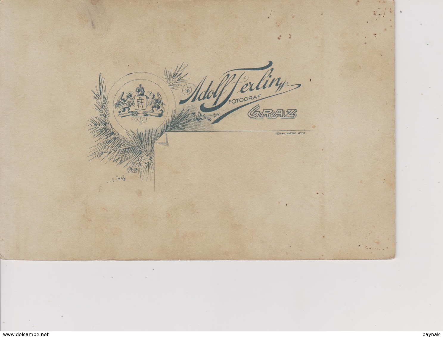 A411  -  CABINET  PH,  CDV  -  AUSTRIA,  GRAZ ~  WEDDING  ~  PHOTO   ADOLF FERLIN  ~  BIG FORMAT 16,5 Cm X 10,5 - Old (before 1900)