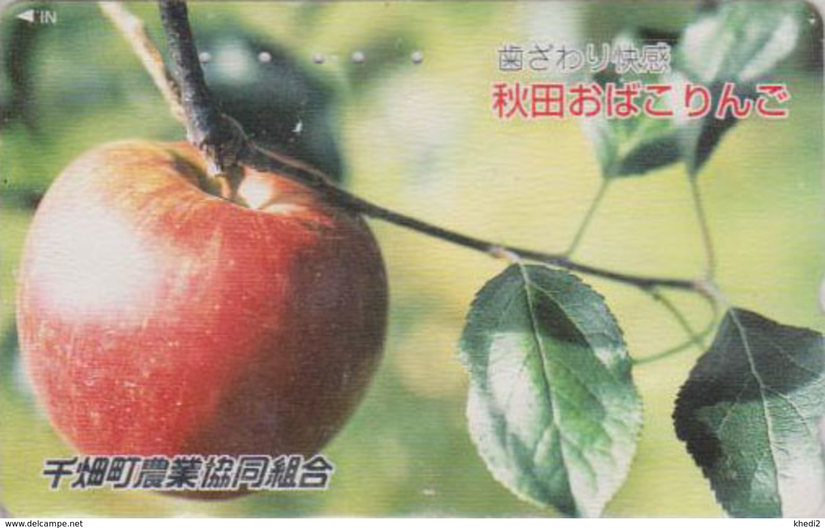 Télécarte Japon / 110-016 - Fruit POMME - APPLE Fruit Japan Phonecard - APFEL Obst TK - 61 - Alimentación