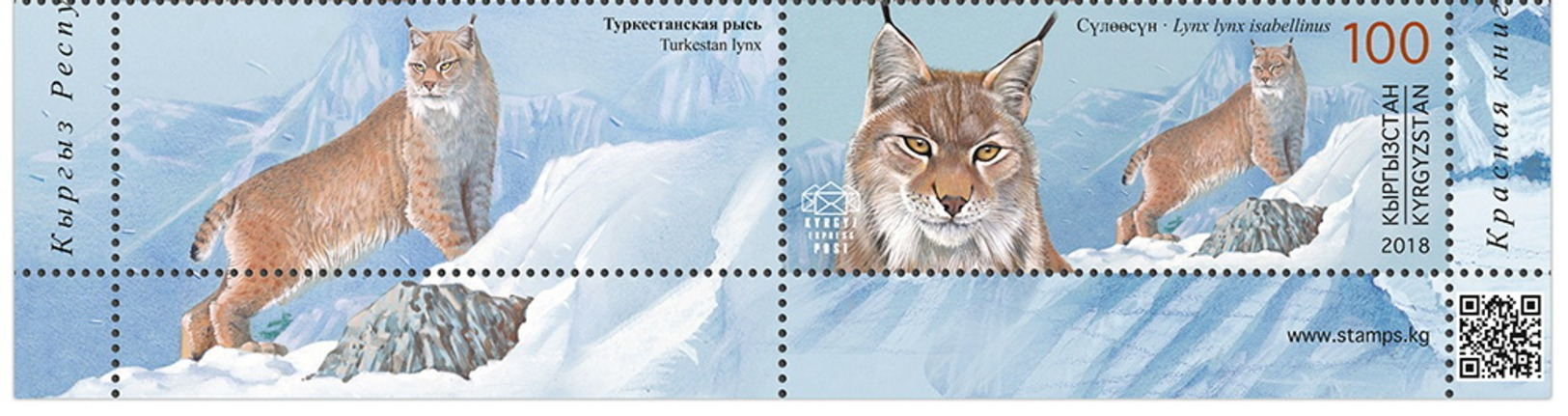 H01 Kyrgyzstan 2018 Mi# 114-117 Animals Red Book Wild Cats Bears Manul Label MNH - Kirghizistan