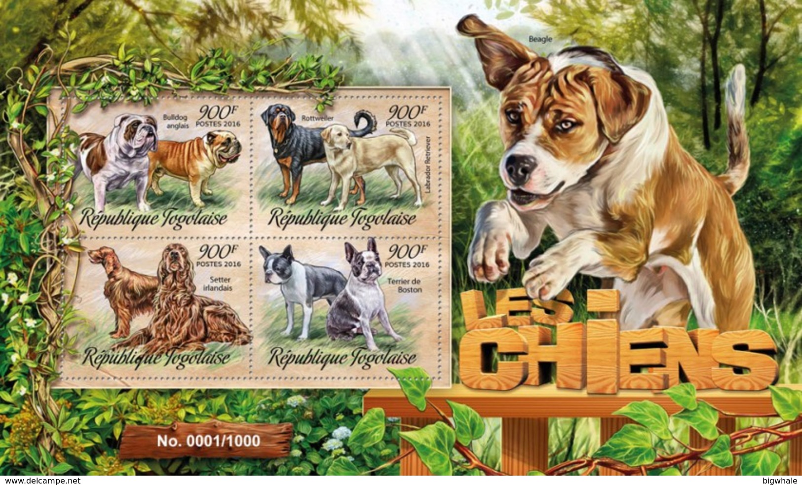 Togo 2016 Dog Chien MNH 1 Sheet - Togo (1960-...)