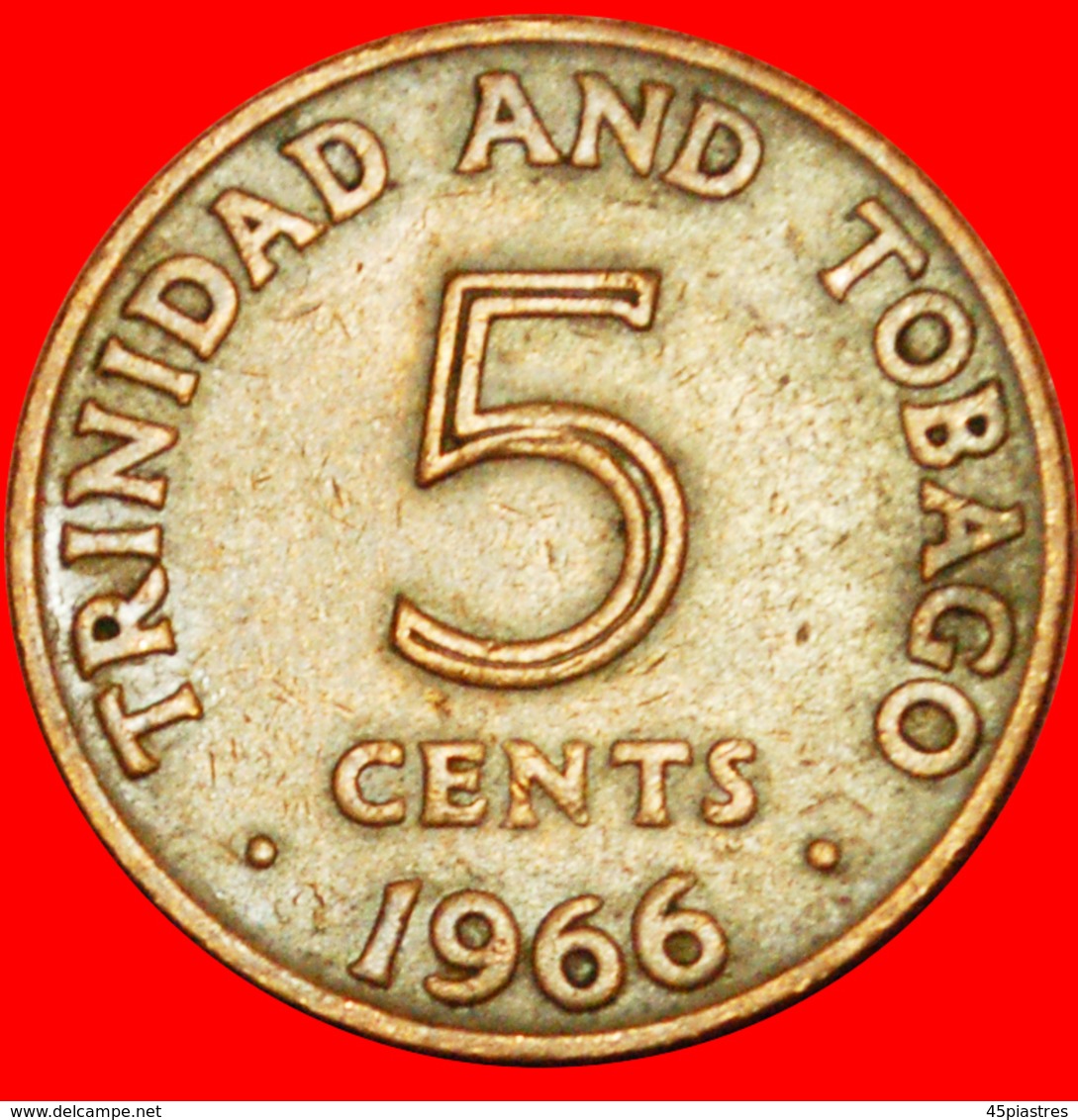 # GREAT BRITAIN (1966-1972): TRINIDAD AND TOBAGO ★ 5 CENTS 1966! LOW START ★ NO RESERVE! - Trinidad & Tobago