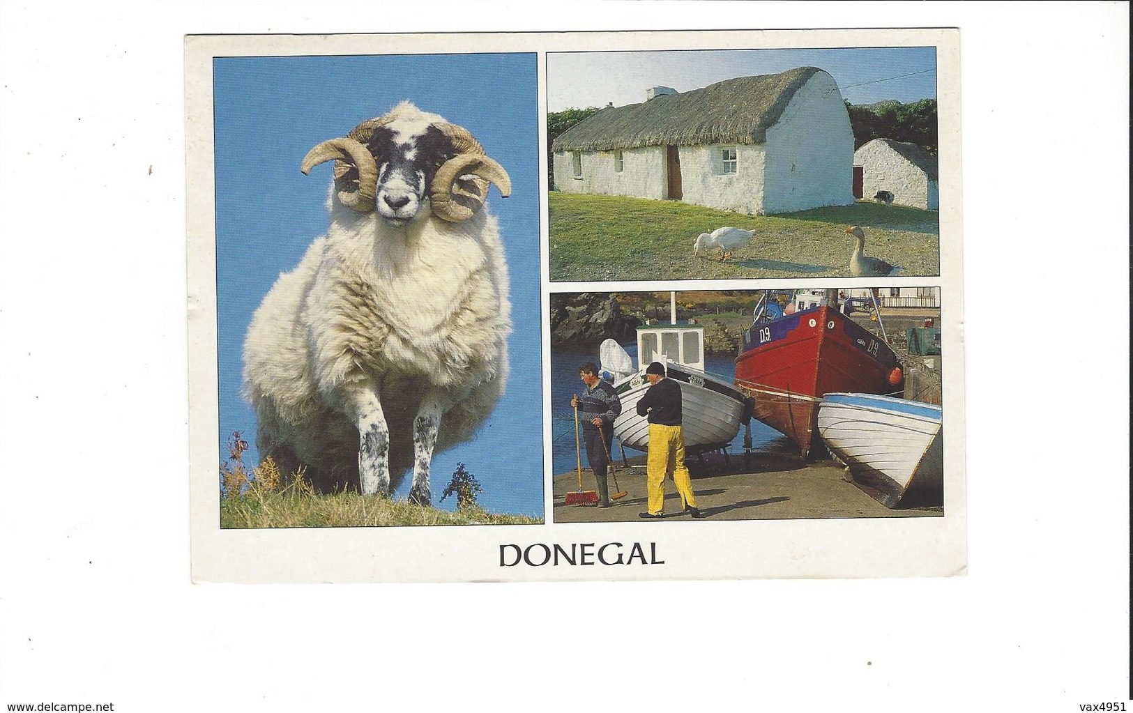 Z   IRLANDE DONEGAL  MULTIVUES  MOUTONS  ****  A  SAISIR  **** - Donegal