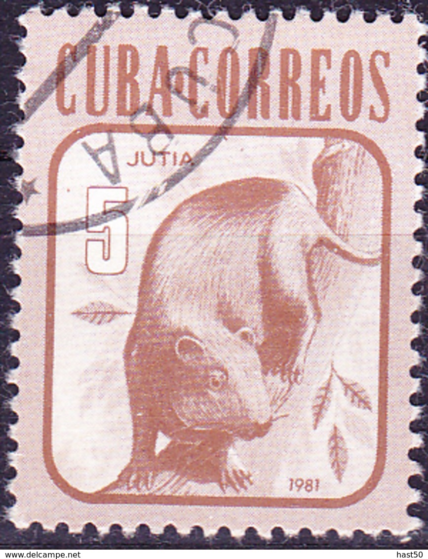 Kuba Cuba - Aguti (Dasyprocta Aguti) (Mi.Nr.: 2608) 1981 - Gest Used Obl - Usati