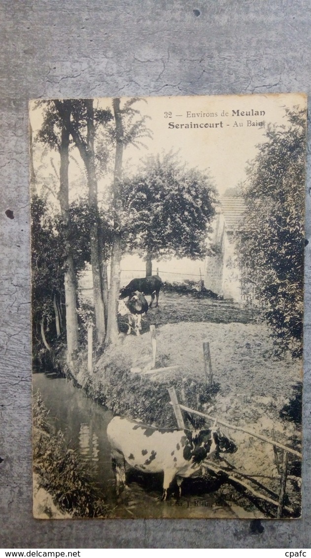 Seraincourt (environs De Meulan) - Vaches Au Bain / Editions J. Klein N°32 - Seraincourt