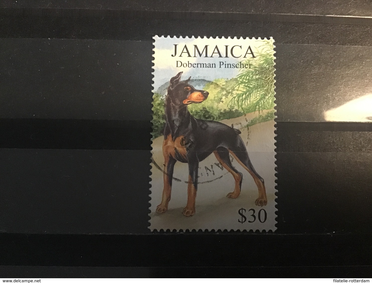 Jamaica - Honden (30) 1999 - Jamaica (1962-...)