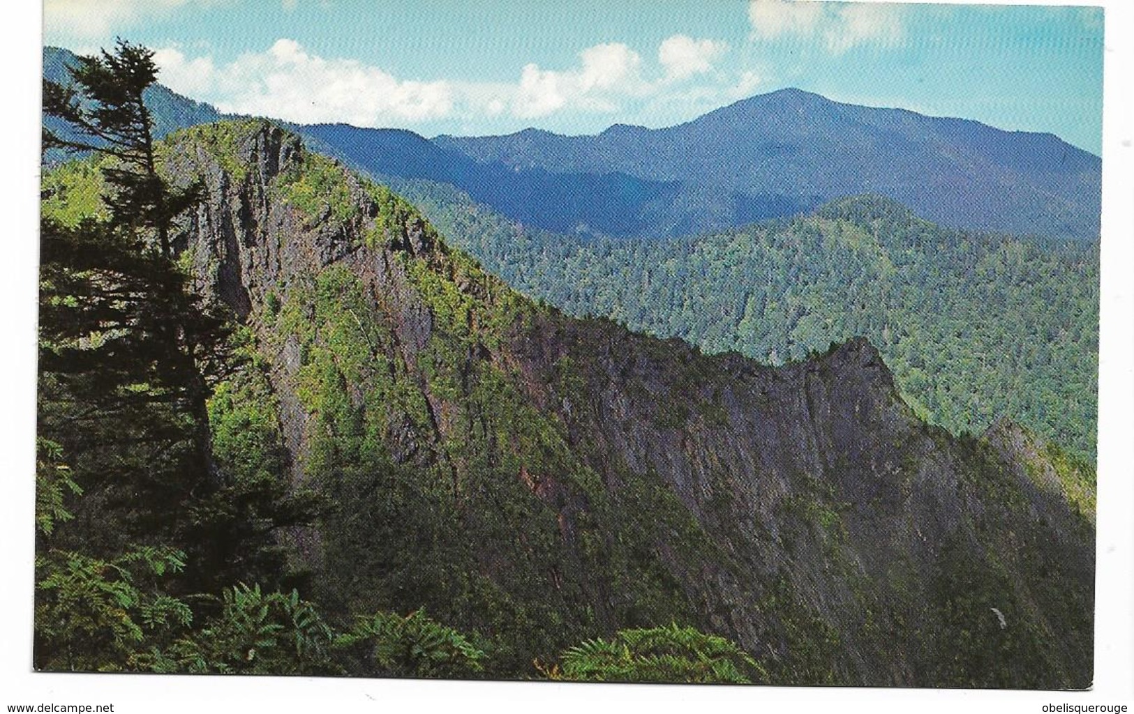 Great Smoky Mountains National Park (Tennessee, USA APPALACHIAN TRAIL - Smokey Mountains