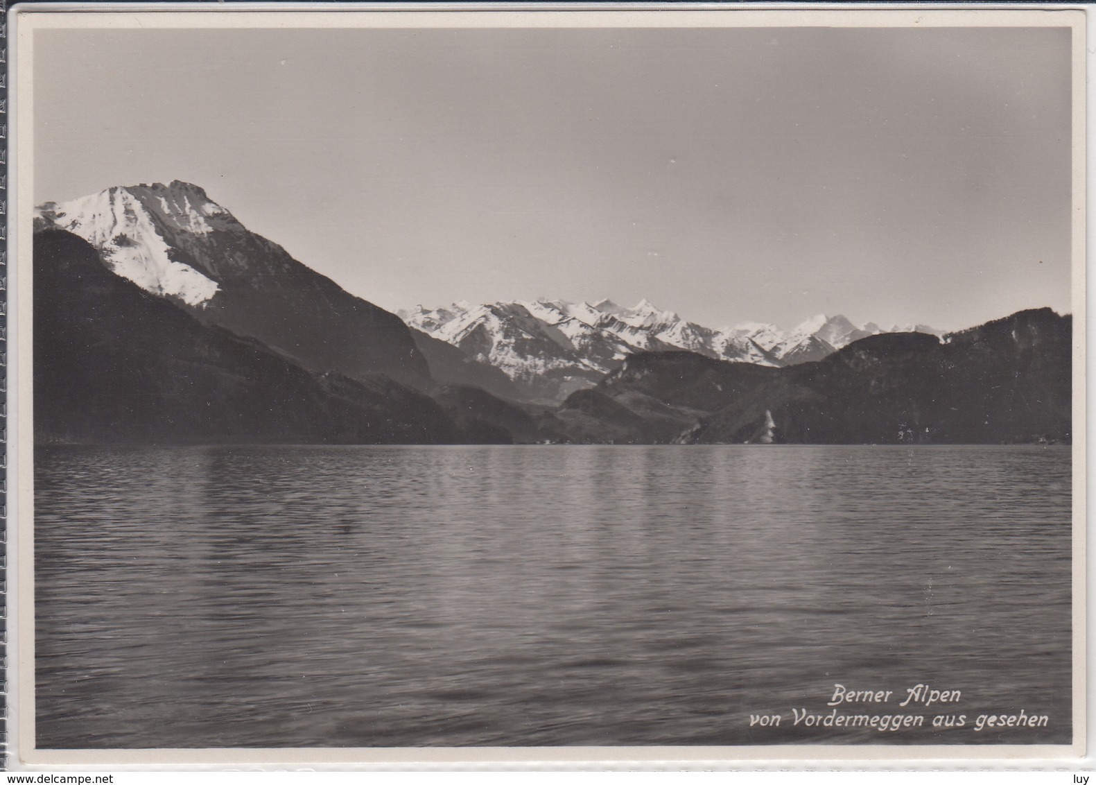 VORDERMEGGEN MEGGEN  Mit Blick Auf Die Berner Alpen - Meggen