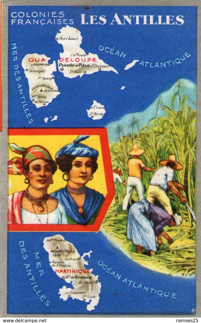 (84) CPA  Colonies Francaises Les Antilles  Guadeloupe  Produits Du Lion Noir (Bon état) - Autres & Non Classés