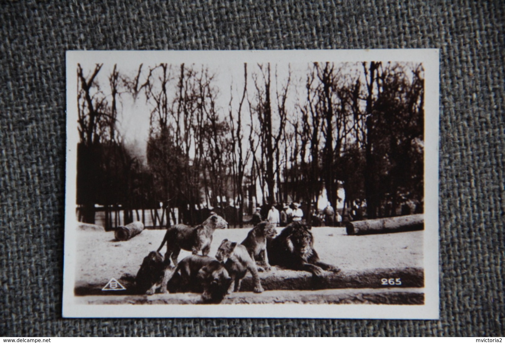 PARIS - Exposition Coloniale 1931 - Images Lait MONT BLANC - Parc Zoologique. Album Complet; - Autres & Non Classés