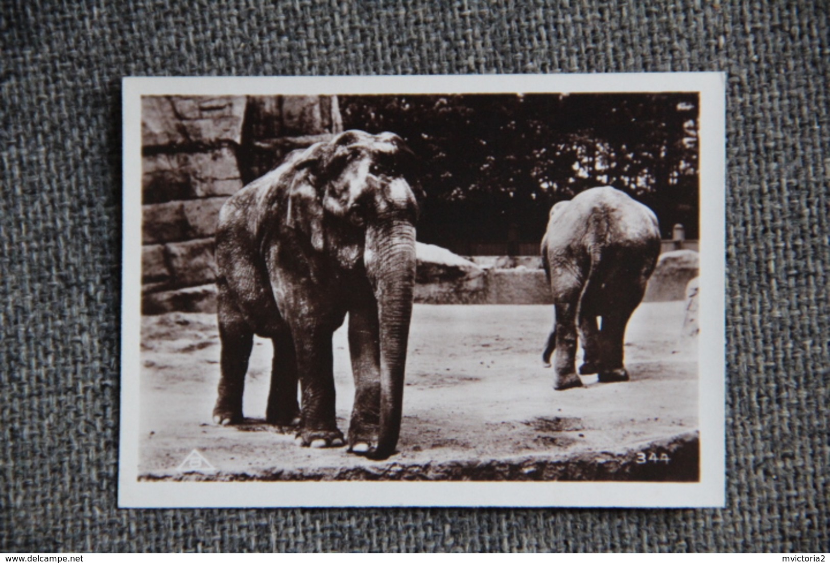 PARIS - Exposition Coloniale 1931 - Images Lait MONT BLANC - Parc Zoologique. Album Complet; - Autres & Non Classés