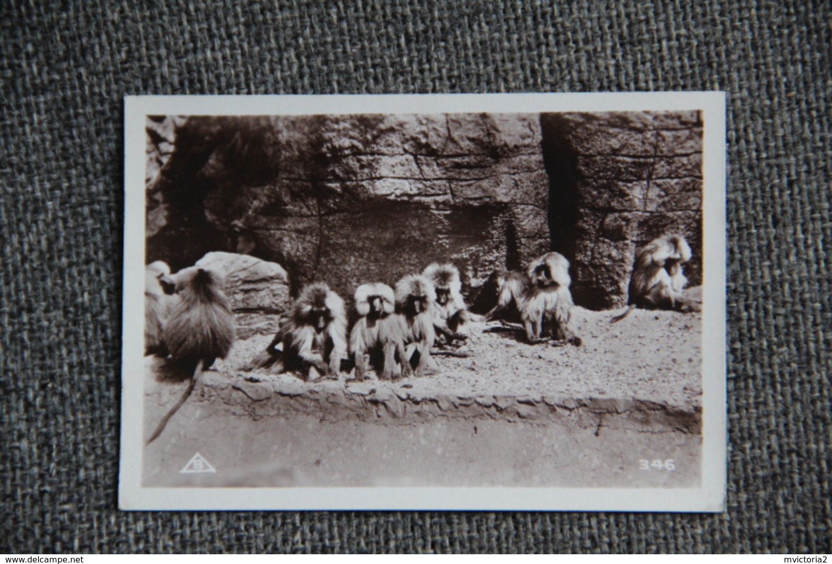 PARIS - Exposition Coloniale 1931 - Images Lait MONT BLANC - Parc Zoologique. Album Complet;