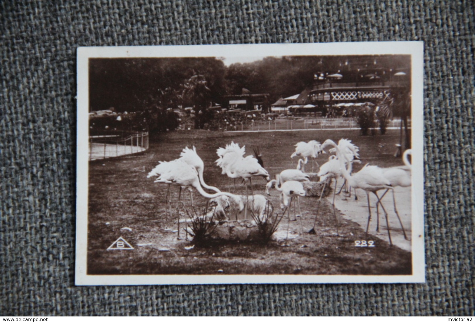 PARIS - Exposition Coloniale 1931 - Images Lait MONT BLANC - Parc Zoologique. Album Complet;