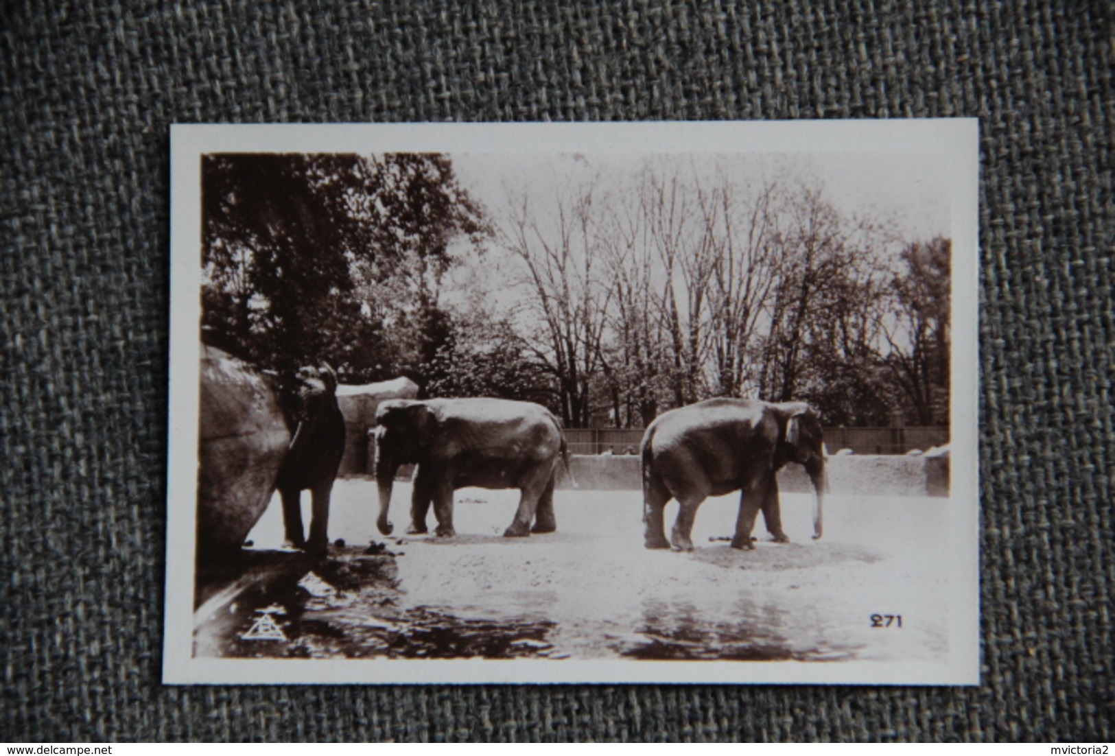 PARIS - Exposition Coloniale 1931 - Images Lait MONT BLANC - Parc Zoologique. Album Complet;