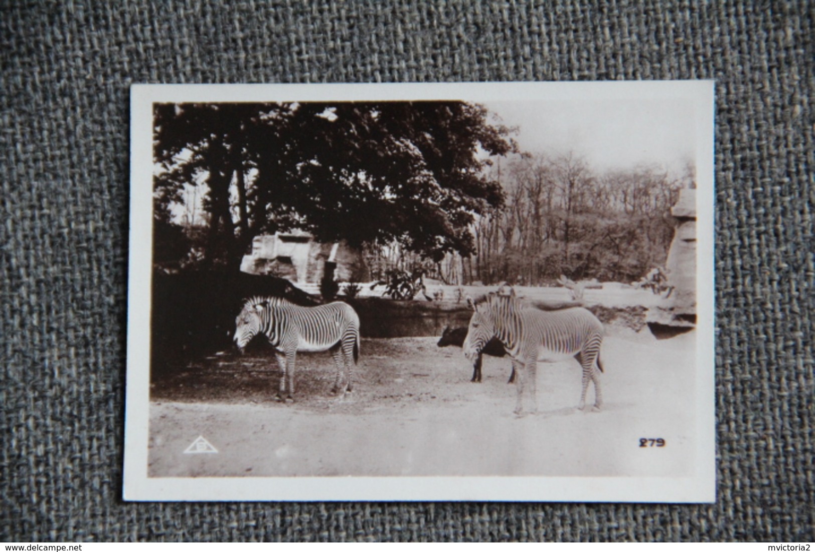 PARIS - Exposition Coloniale 1931 - Images Lait MONT BLANC - Parc Zoologique. Album Complet;