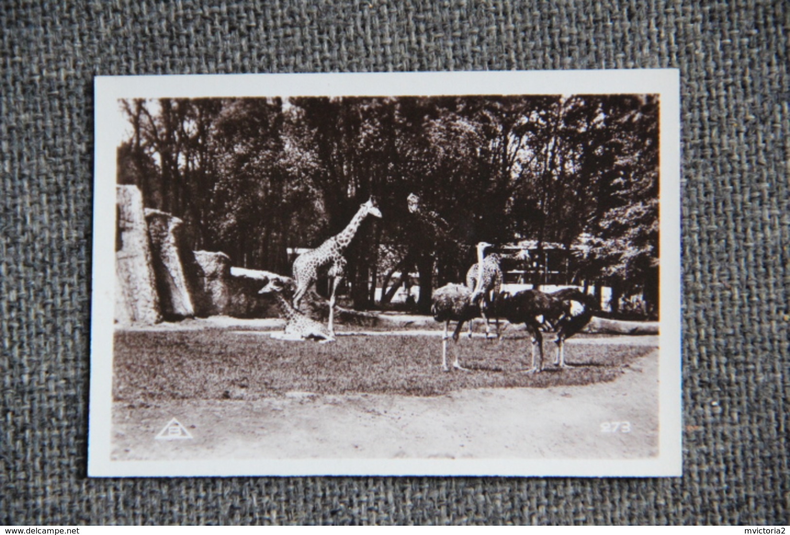 PARIS - Exposition Coloniale 1931 - Images Lait MONT BLANC - Parc Zoologique. Album Complet;