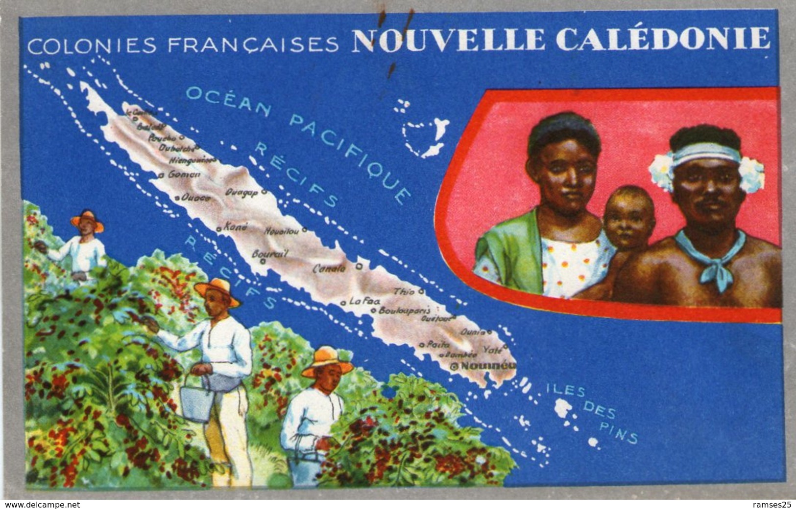 (84) CPA  Colonies Francaises Nouvelle Caledonie  Produits Du Lion Noir (Bon état) - Nouvelle Calédonie