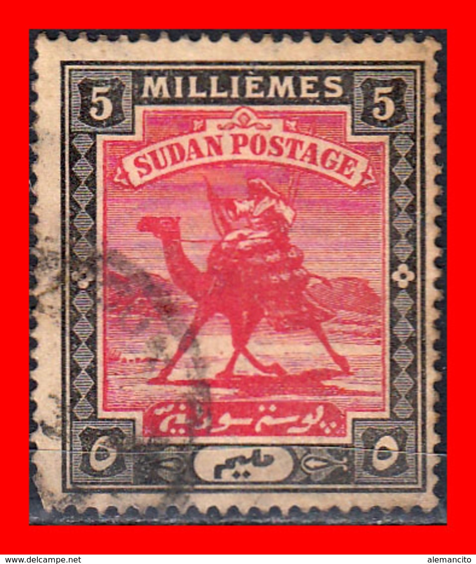 SUDAN CAMEL POST SELLO AÑO 1898-1906 - Sudan (1954-...)