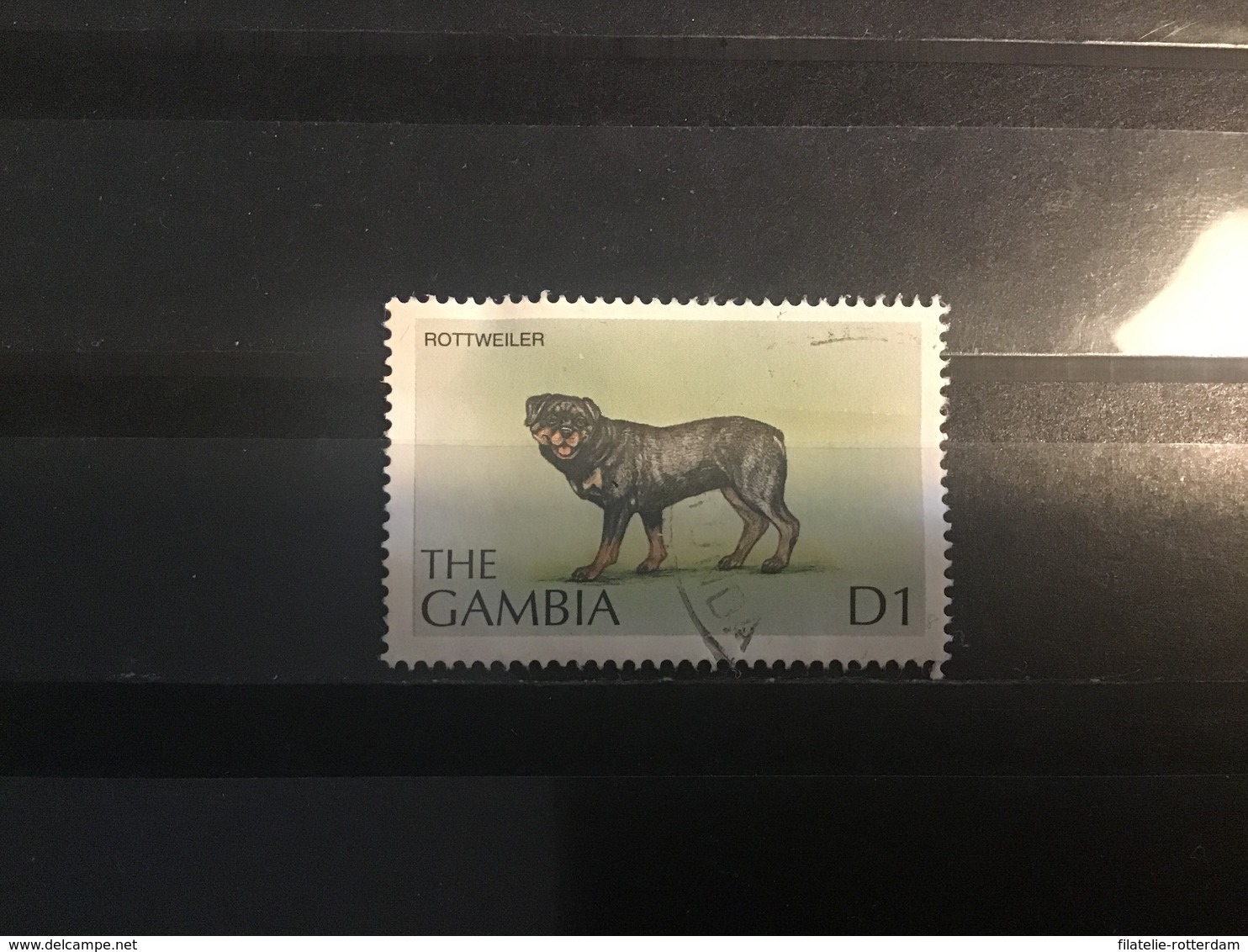 Gambia - Honden (D1) 1997 - Gambia (1965-...)