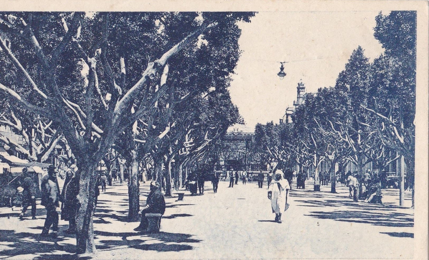 ALGERIE   BONE  :  COURS  JEROME  BERTAGNA  . - Annaba (Bône)