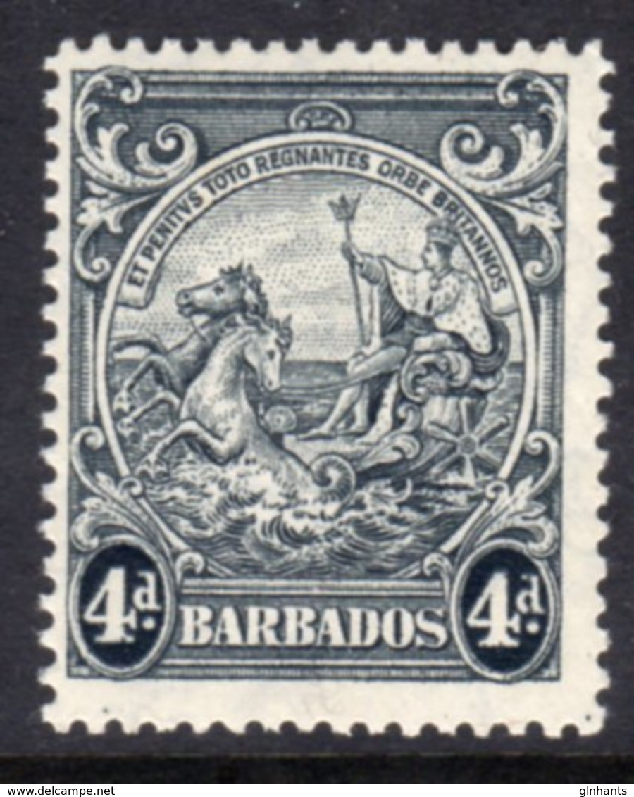 BARBADOS - 1938-1947 FOUR PENCE BLACK DEFINITIVE 1938 COLONY SEAL PERF 13.5 X 13 REF A MNH ** SG 253 - Barbados (...-1966)