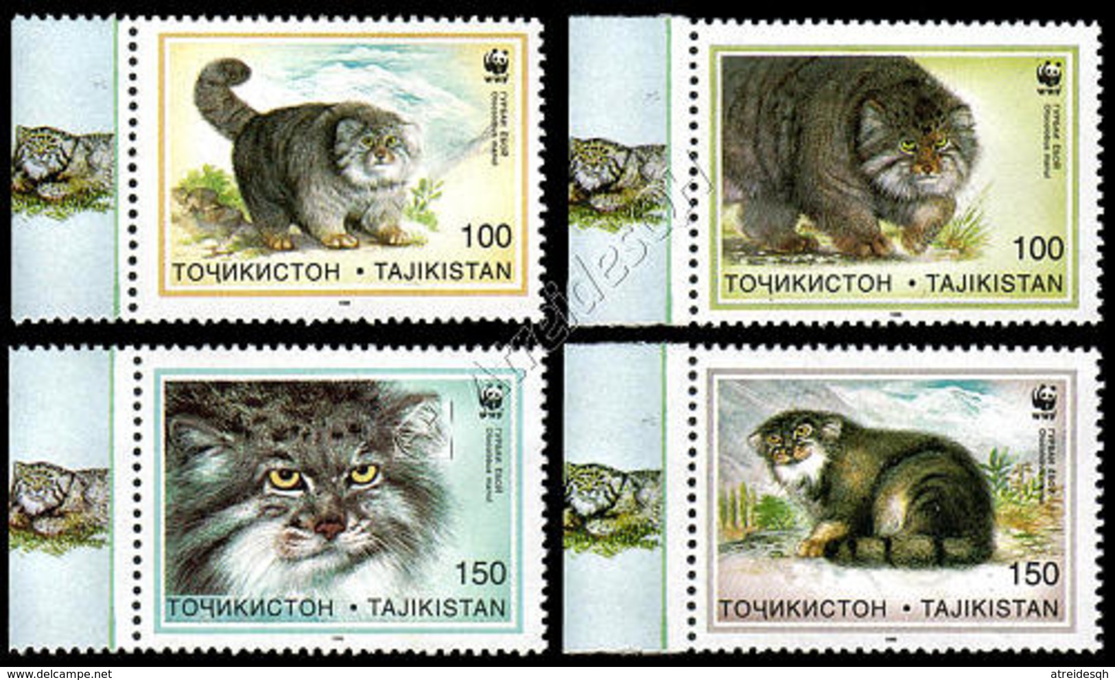 Tajikistan 1996: WWF Manul / Pallas's Cat ** - Felini