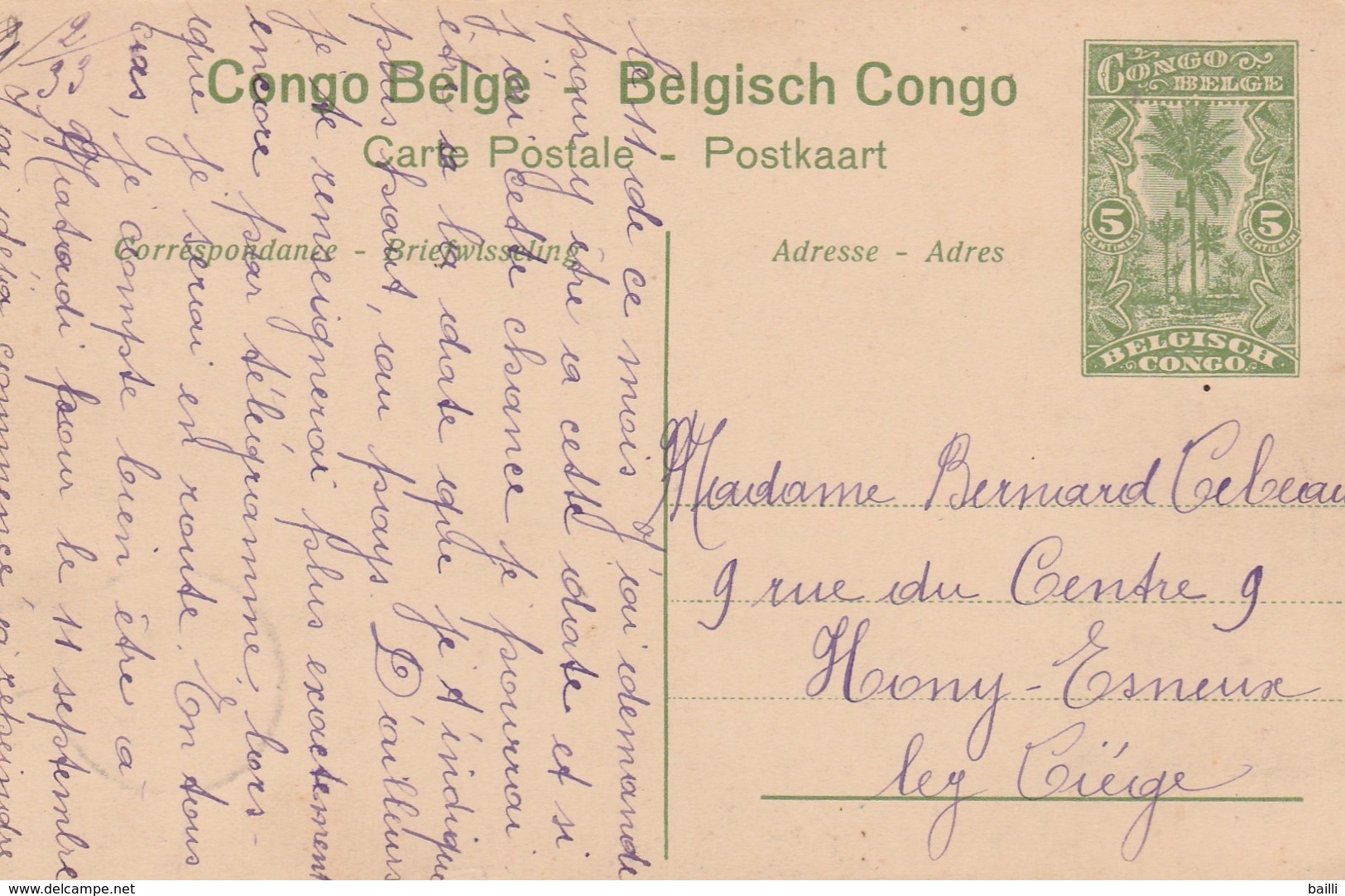 Congo Belge Entier Postal Illustré Pour La Belgique - Entiers Postaux