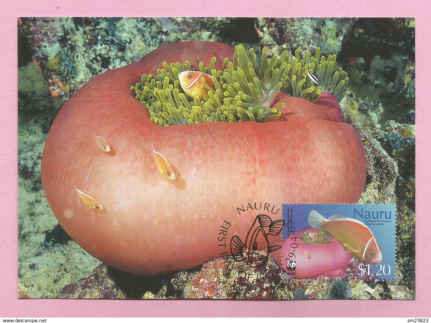 Nauru 2003  Mi.Nr. 555 , Pink Anemone Fish + Magnificent Sea Anemone - WWF Official Maximum Card 29.04.03 - Nauru