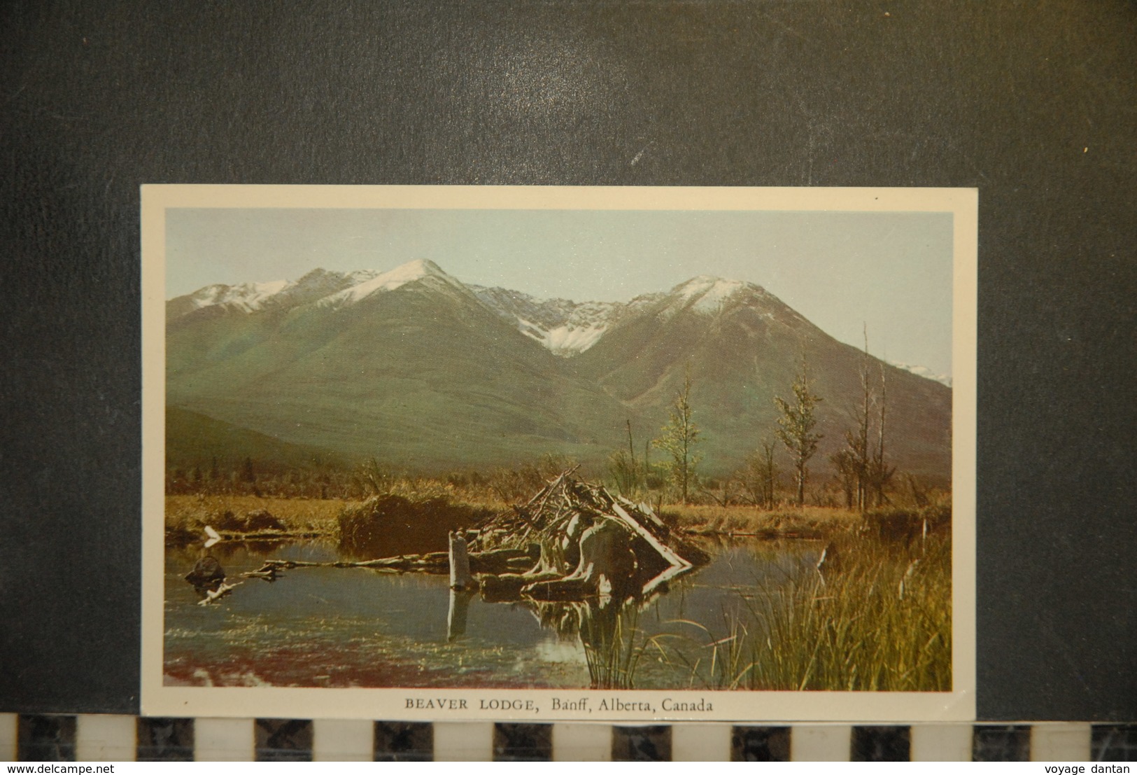 CP, Amerique, CANADA  Beaver Lodge BANFF Alberta Canada - Banff