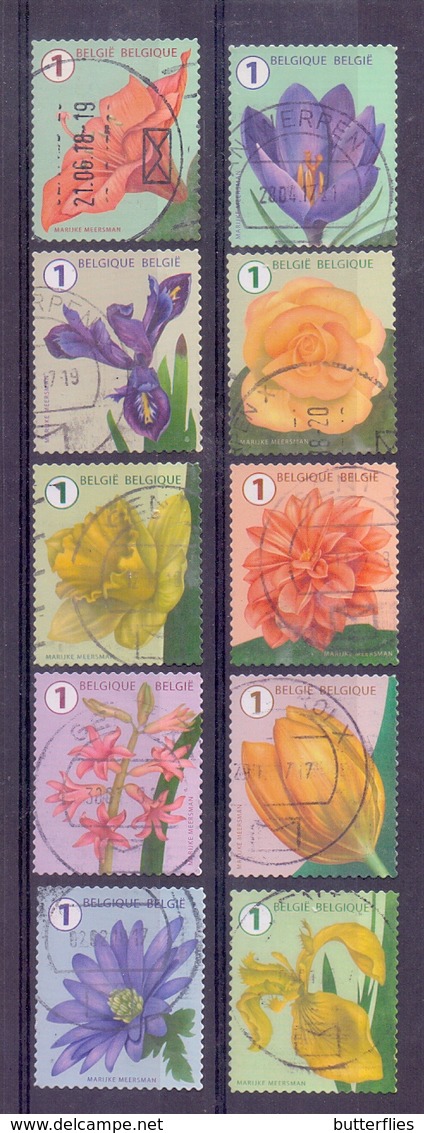 Belgie - 2016 -  Bloemen - Fleurs - Zonder Papierresten - Oblitérés