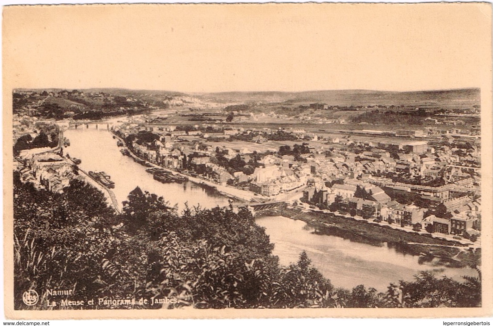 CPA - Namur -La Meuse Et Panorama De Jambes Pris De La Citadelle - Nels - Namur