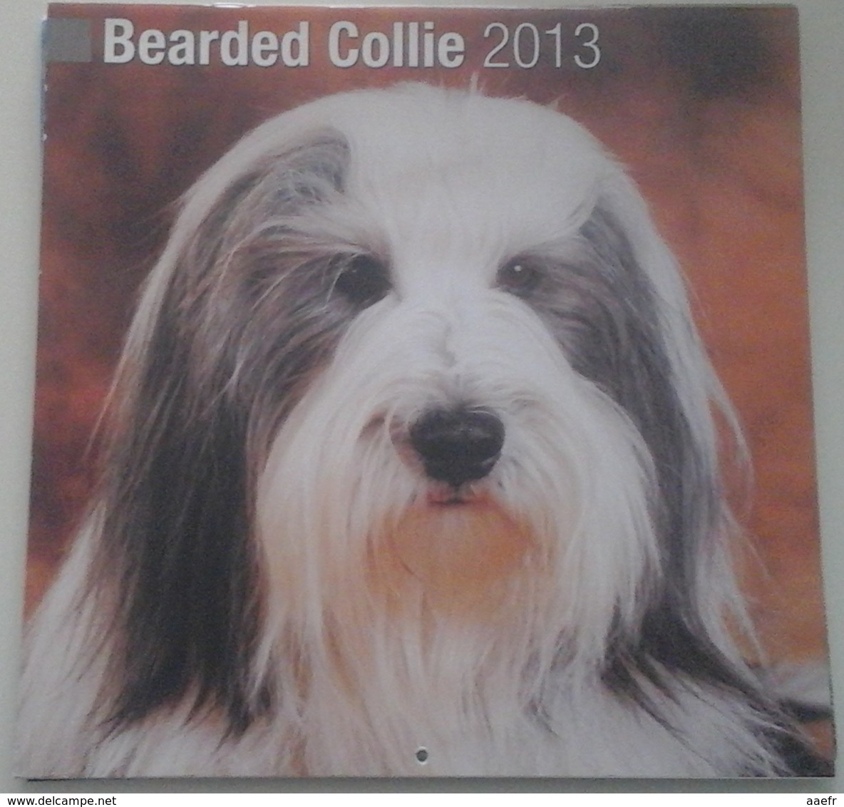 Calendrier 2013 -  Chiens, Bearded Collies - Ed. Avonside Publ. - Grand Format : 2001-...