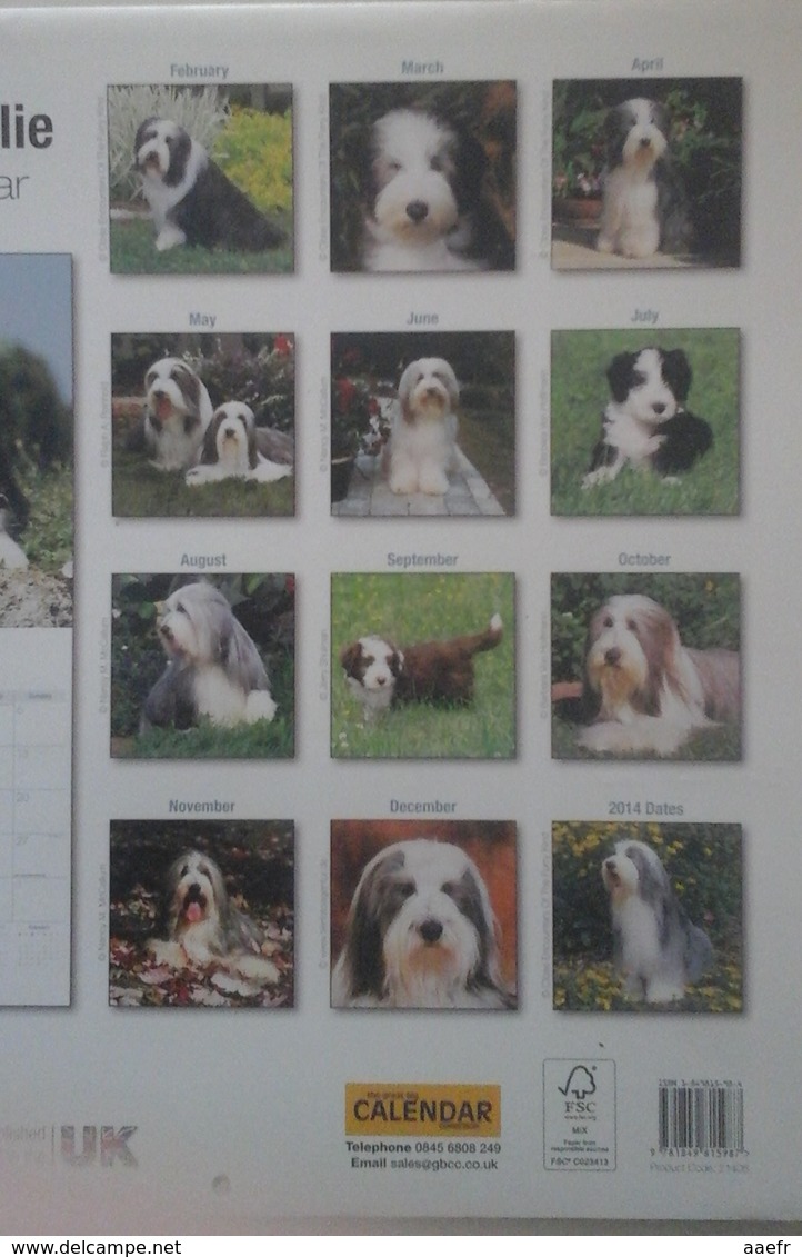 Calendrier 2013 -  Chiens, Bearded Collies - Ed. Avonside Publ. - Grand Format : 2001-...