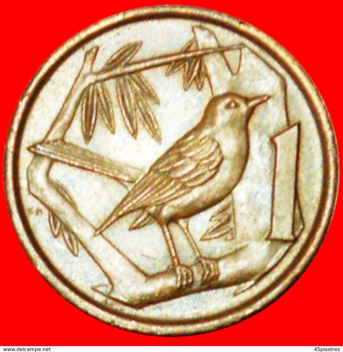 # BIRD (1972-1986): CAYMAN ISLANDS ★ 1 CENT 1977! LOW START ★ NO RESERVE! - Iles Caïmans