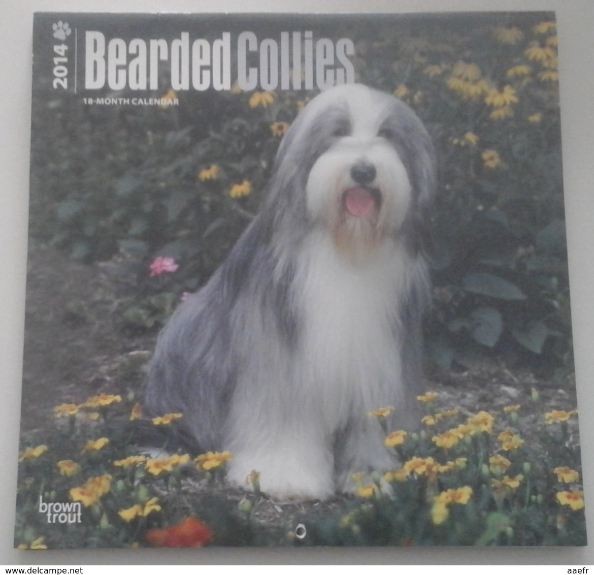 Calendrier 2014 -  Chiens, Bearded Collies - Ed. Brown Trout - Grand Format : 2001-...