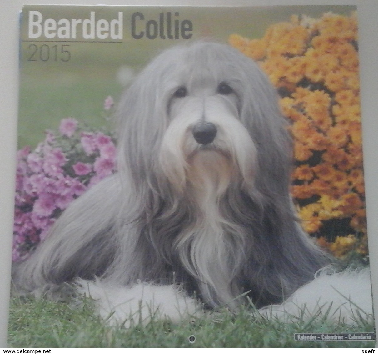 Calendrier 2015 -  Chiens, Bearded Collies - Ed. Avonside Publ. - Big : 2001-...